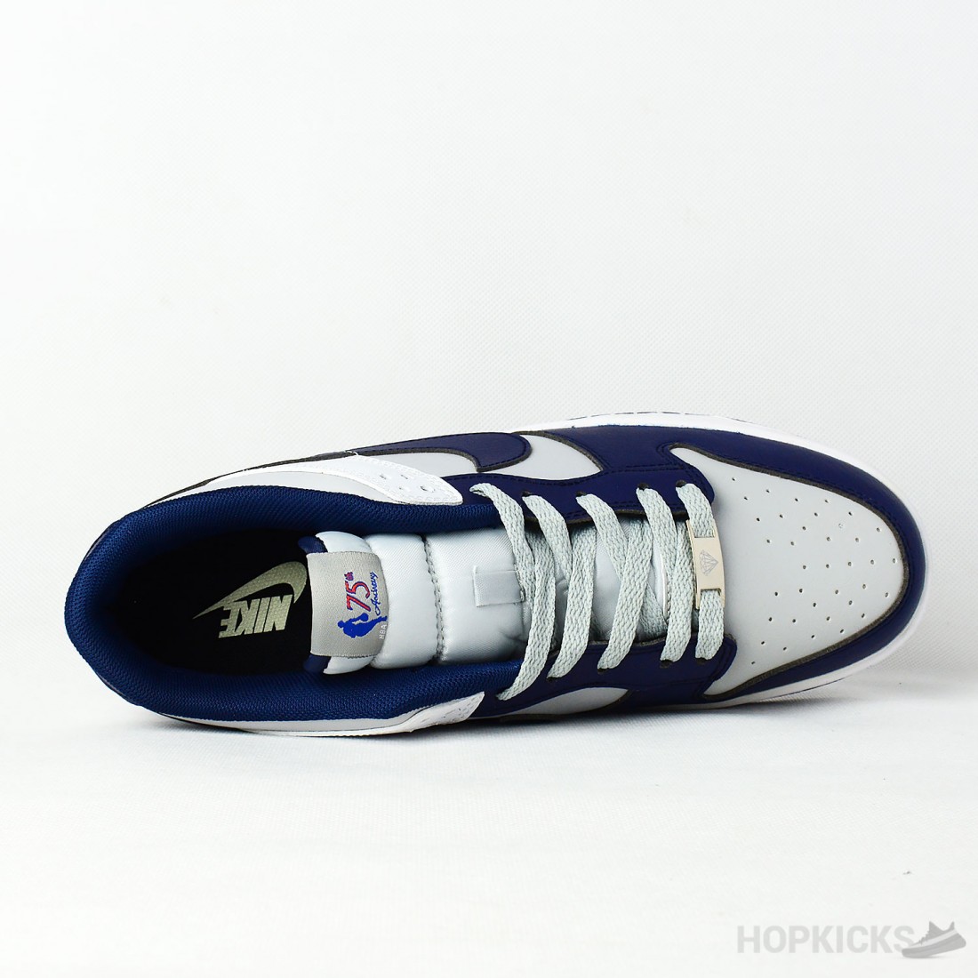 brooklyn nets sb dunks